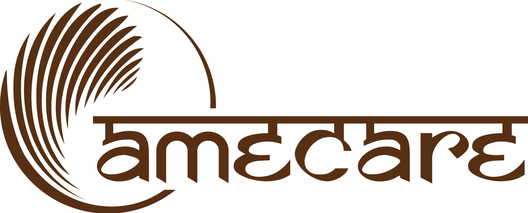 Amecare industries private limited